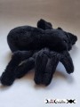 Araignée noire