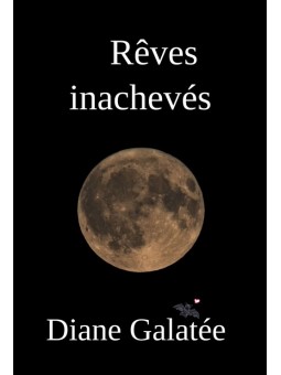 Rêves inachevés (broché)