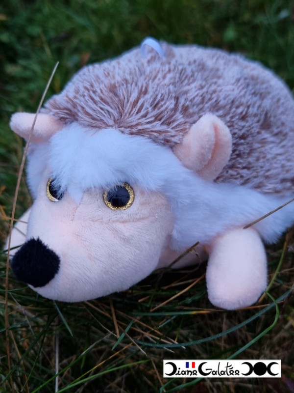 Hedgehog