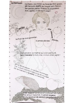 Le hérisson (Instants...