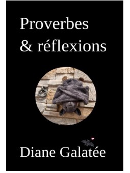 Proverbes & réflexions 01...