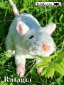 Peluche Ratagra